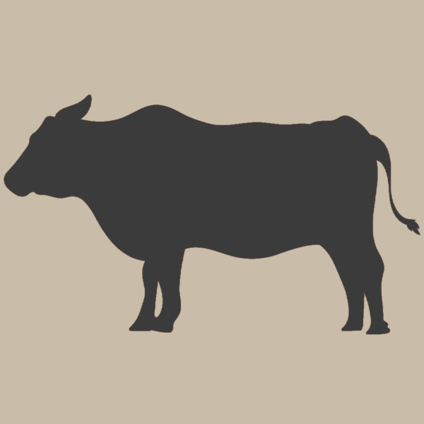 Burkhardt Farms – Half Beef